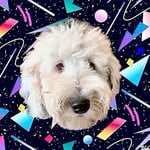 I Am Bunny(whataboutbunny)'s profile avatar