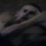 BOY HARSHER(boyharsher)'s profile avatar