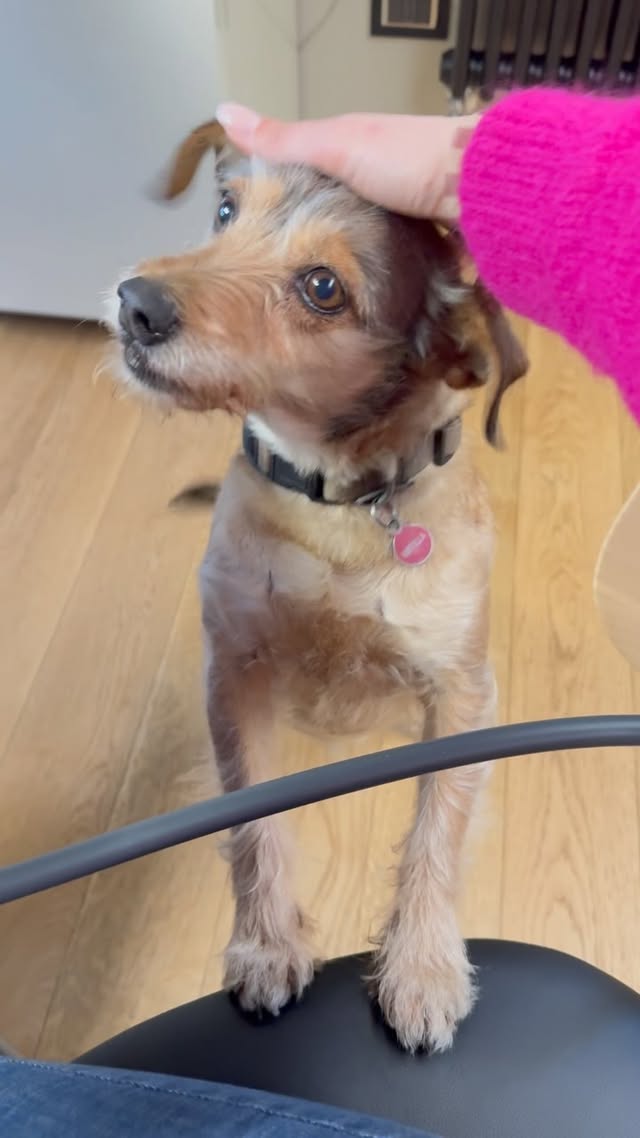 Sono riuscita a catturare l’attimo!!! Ascoltate bene cosa dice Mirtilletta mia 😍Secondo voi ha detto mamma?