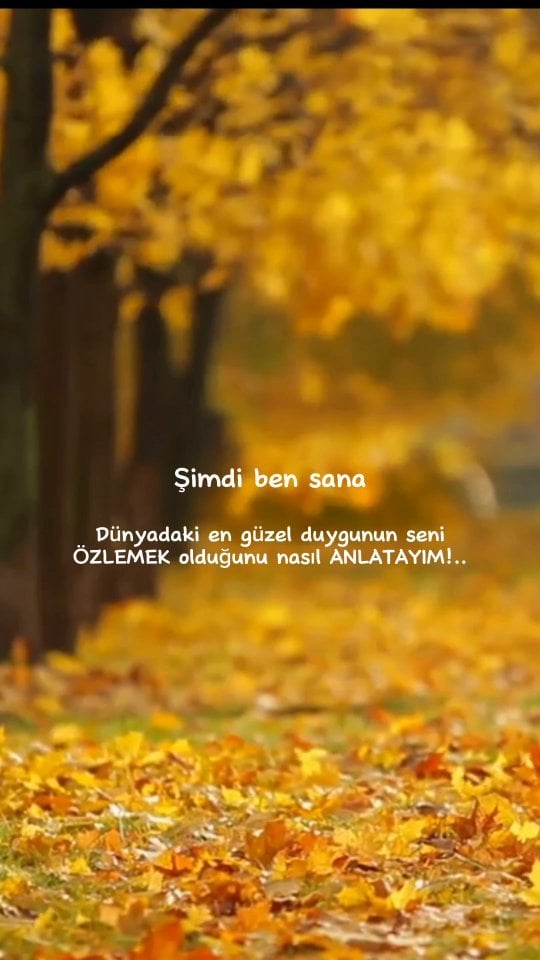 Şimdi ben sana,Dünyadaki en güzel duygunun seni özlemek olduğunu, Hangi sözlerle ve hangi şarkıyla nasıl anlatayım !..🥀 by @etkaningunlugu