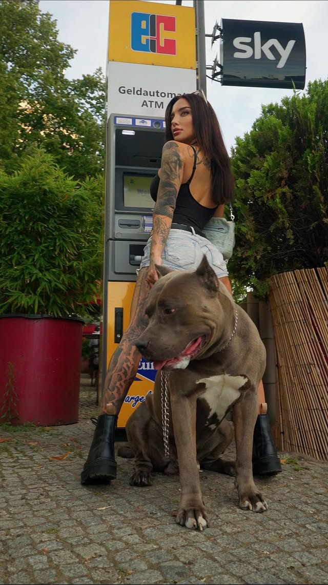 safety first #dogmom #inkedgirls @danye.videomarketing by @cherryrebelle_