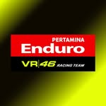 Pertamina Enduro VR46 Racing Team(@vr46racingteam)'s profile avatar