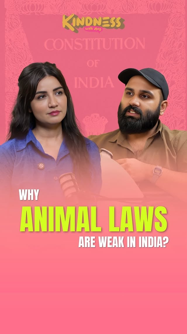 Did you know you can file an FIR online for an animal abuse reel you see in India?New podcast with @sankshaybabber dropping soon ⬆️✨