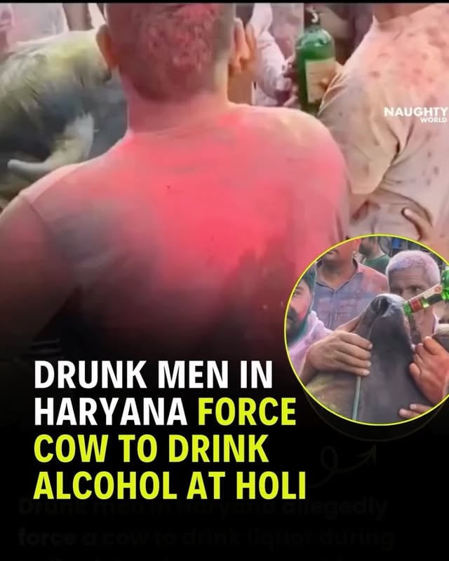 This Holi, let’s actively ensure nobody hurts animals. Have fun; and celebrate what Holi teaches us; without bringing harm. #HappyHoli!