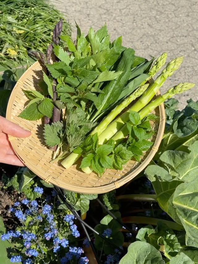 Spring is in full swing at POPL!Spring tempura is the newest addition to our side dishes!Contains the best greens of the season. Lightly fried, salted and served with a tagetes sauce! Try it next time you’re visiting the restaurant! by @poplburger
