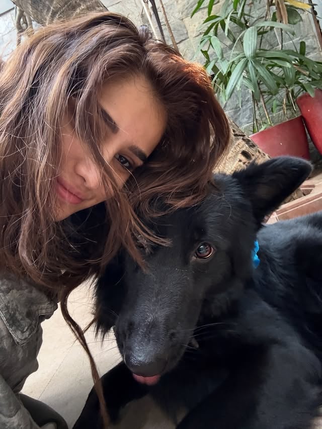 my azaadu puppy by @rashathadani