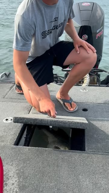Pulling a TEENER out the box is something only very few people can say they've done...
#bassfishing #apsguideservice #bigbass #fishing #fyp