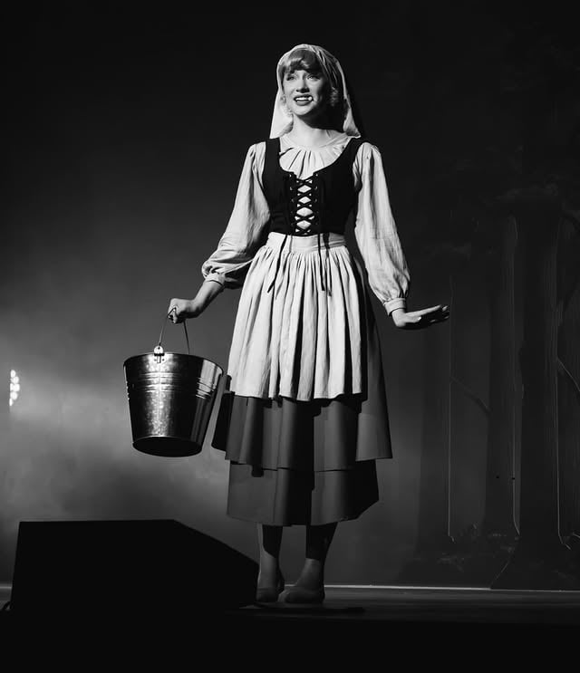 toda dama suspiró…🪄. ₊ ⊹ . #cenicientaelmusical #ella #theatre #teleticket by @adriana_campossalazar