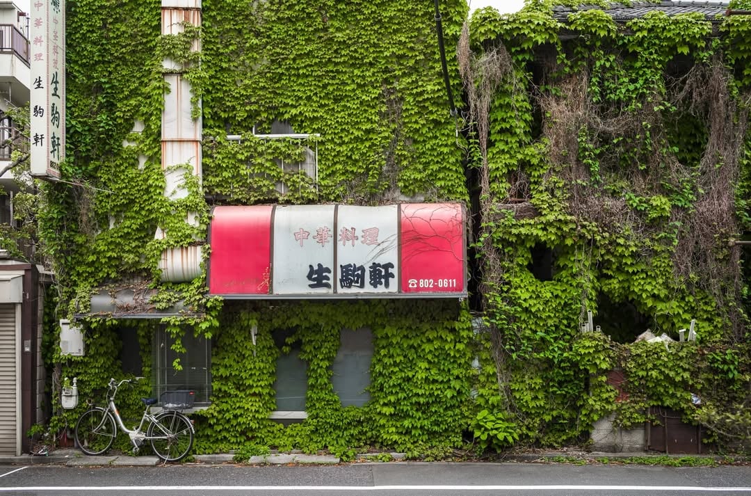 On some days, regardless of how many kilometres I wander, the end result is no interesting images whatsoever. Fortunately other outings can work out way better, and while it’s highly unlikely any of the shots shown here will become long term faves, they are nonetheless photographs that nicely document a recent Tokyo meander. One that took in some old and familiar locations, along with a few previously unseen spots surprisingly near to them. Location: #tokyoCamera: @leica_camera_japan M10R..........#leechapman #showa #overgrown #tokyostreetphotography by @tokyotimes_lee