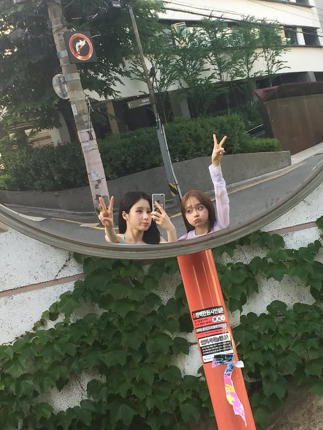 🪴👯‍♀️ yesterday 🫪🫶 by @chuuo3o