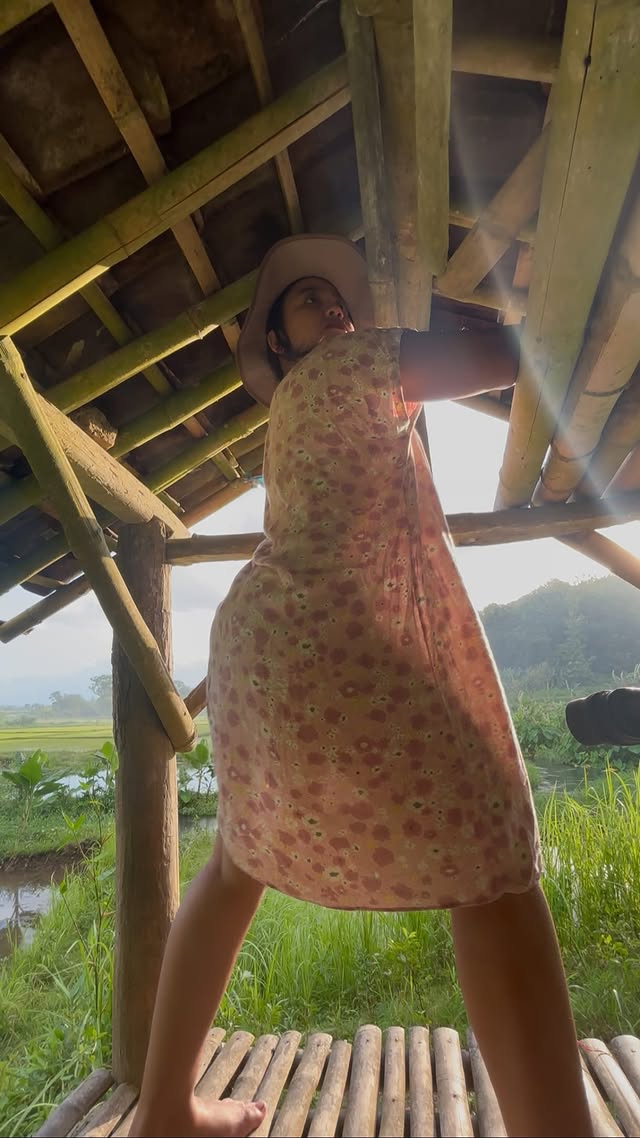 sore hari di sawah by @jia_amalia20_real