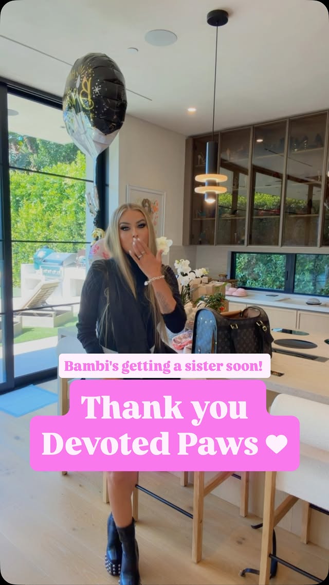 Bambi is getting a sister soon, so thank you so much @devoted_paws_apparel for all the cute designer bags and clothes for my girls 💕 by @carmenelectra