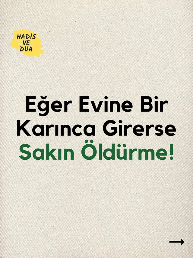 "Kur'ân-ı Kerîm'de Neml Sûresi'nde, Hz. Süleyman(a.s.) ordusuyla ilerlerken bir karıncanın diğer karıncalara:"Yuvalarınıza girin; Süleyman ve ordusu farkına varmadan siziezmesin." (Neml 27/18-19)dediği anlatılır.Bu kıssa, en küçük canlıların bile Allah'ın koruması altında olduğunu ve onların da Allah'ı tesbih ettiğini gösterir.Peygamber Efendimiz (s.a.v.) bir hadisinde şöyle buyurmuştur:"Bir karınca bir peygamberi ısırdı; o da karınca yuvasını yaktırdı.Bunun üzerine Allah şöyle vahyetti:'Bir karınca seni ısırdı diye, beni tesbih eden bir ümmeti miyaktın?"(Buhâri, Enbiyâ 54; Müslim, Selâm 2241)Bu hadis, her canlıya merhametle yaklaşmayı ve haksız yere zarar vermemeyi öğretir. Çünkü her varlık Allah'ı zikretmektedir.Karıncalar, bereketin ve rızkın sembolü olarak kabul edilir. Küçük olmalarına rağmen gayretle çalışır, sabreder ve paylaşırlar. Bu Özellikleri mümin için güzel bir örnektir.RIzık konusunda tevekkül ve gayretin önemini anlatanbaşka bir hadis ise şöyledir:"Eğer siz Allah'a hakkıyla tevekkül etseydiniz, sizi de kuşlarırızıklandırdığı gibi rızıklandırırdı. Onlar sabah aç çıkar, akşam tok döner." (Tirmizí, Zühd 33)Faydalı olduğunu düşünüyorsan paylaşarak daha fazlakişinin öğrenmesine vesile ol.@kuranvaktimiz@hadisvedua_ by @hadisvedua_