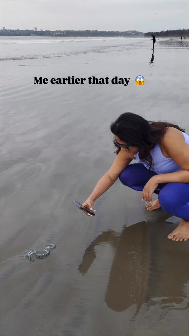 I wasn’t aware of this info! I saw @anuradha.singh ‘s reel right after 😳😱 Be safe- we are in their ecosystem. . 🙋🏻‍♀️Beaches are not only beautiful but also our responsibility to protect . 
#goa 
Anuradha’s reel says - 
Sea snakes are actually extremely common along Goa’s
coastline; especially around Benaulim-Sernabatim beaches.
They often drift in with the rising tide or accidentally get trapped in fishing nets and wash ashore.
The good news: they’re usually not aggressive towards humans and rarely bite unless provoked, handled, or stepped on.
The bad news: their bites can be highly venomous and are often painless at first, which makes people delay treatment
SOS
So if you spot one:
• Don’t touch it or try to move it even if it appears lifeless
• Maintain distance while walking or swimming
• Watch your step near the shoreline, especially during high tide
• It bitten, seek medical attention immediately - anti-venom can sometimes be difficult to procure quickly
Sharing this because most tourists (and even locals) don’t realize how common they are here; yet how venomous they can be. 🙋🏻‍♀️