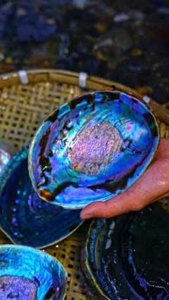 Stars and the sea are frozen on the artifact, passed down for thousands of years—Intangible Cultural Heritage Mother-of-Pearl Inlaid Wooden Comb
#china #losangeles #chicago #instagood #instadaily