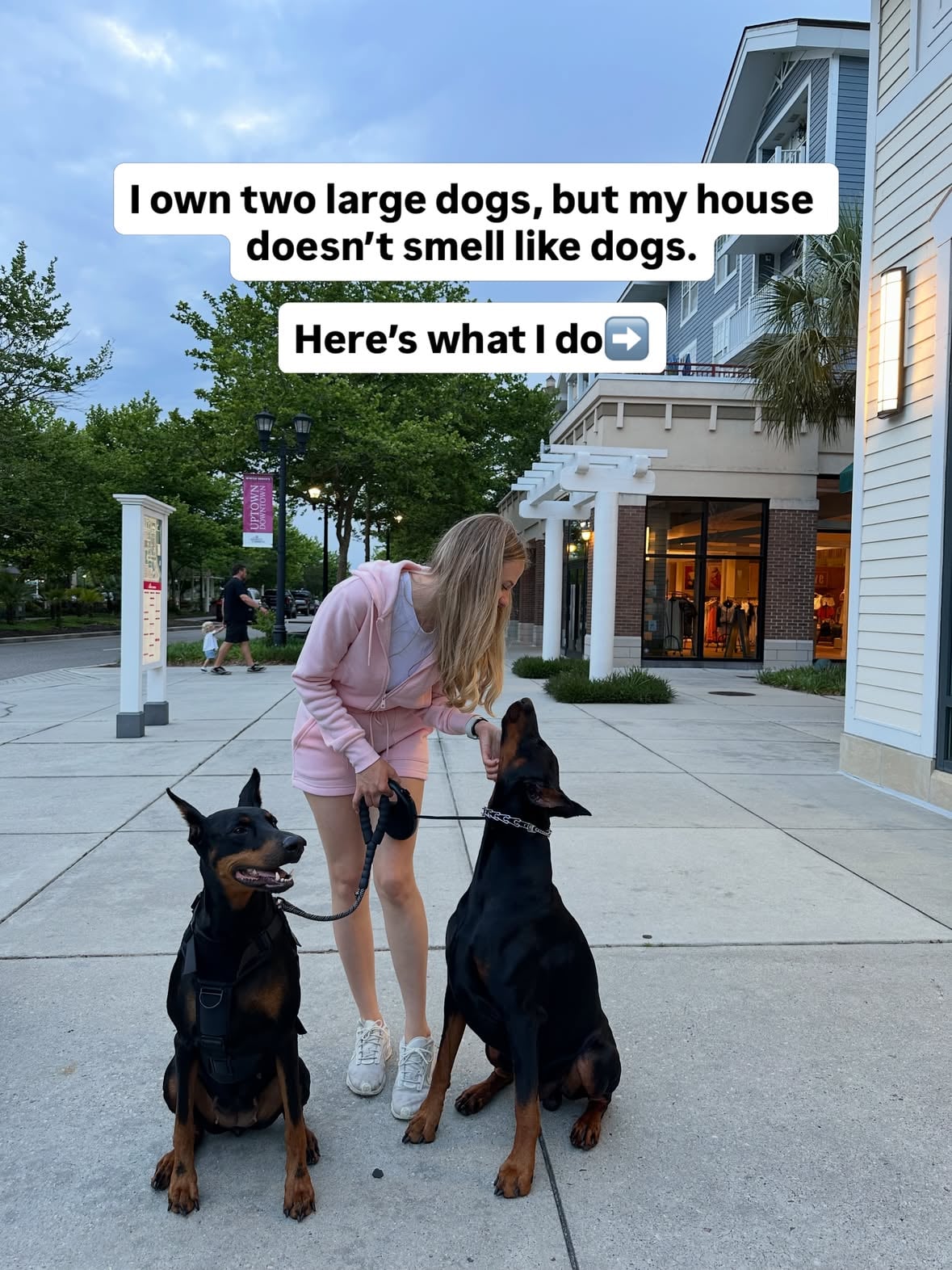 Share you tips 🐾⬇️

#doberman #dogmomlife #lifewithdogs #cleaning #pethouse