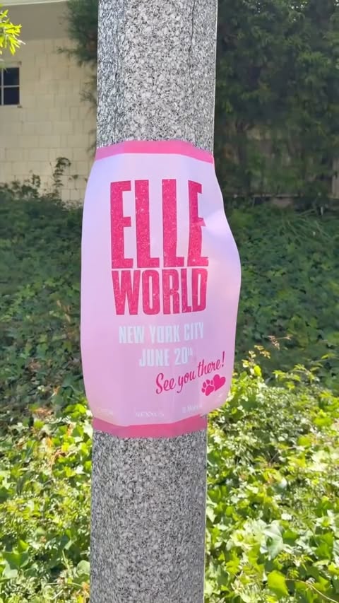 For anyone who has ever loved Elle Woods as much as I do… welcome to Elle World! I can’t wait to see you there!