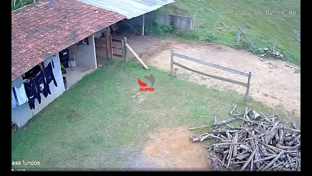 Vaca cai sobre telhado de casa e assusta moradores em São Bento do SulUma ocorrência inusitada chamou a atenção dos moradores de São Bento do Sul, em Santa Catarina, e rapidamente ganhou destaque nas redes sociais. Uma vaca que pastava em um terreno elevado no bairro Lençol acabou perdendo o equilíbrio e caiu sobre o telhado de uma residência vizinha, causando danos à estrutura do imóvel e um grande susto aos moradores.Segundo relatos, o impacto da queda provocou um forte estrondo, assustando quem estava na casa e nas proximidades. Apesar da cena incomum e dos prejuízos materiais registrados, ninguém ficou ferido.O animal também saiu ileso do incidente. Após a queda, a vaca conseguiu deixar o local caminhando normalmente, sem apresentar sinais aparentes de ferimentos. by @tvsupercanal