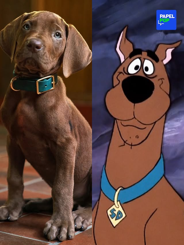 Alerta fofura: temos um novo Scooby-Doo 🐕 O visual do “ator” de “Scooby-Doo: A Origem”, série da Netflix, foi revelado nesta segunda-feira (08) e é um filhote de Dogue Alemão de verdade. A produção, então, marca a primeira representação do icônico personagem com um cachorro real. Compare o cãozinho com as versões em animação da Hanna-Barbera, estúdio responsável pela franquia na década de 60, e em live-action dos anos 2000 ☝🏻 (📸: Divulgação)