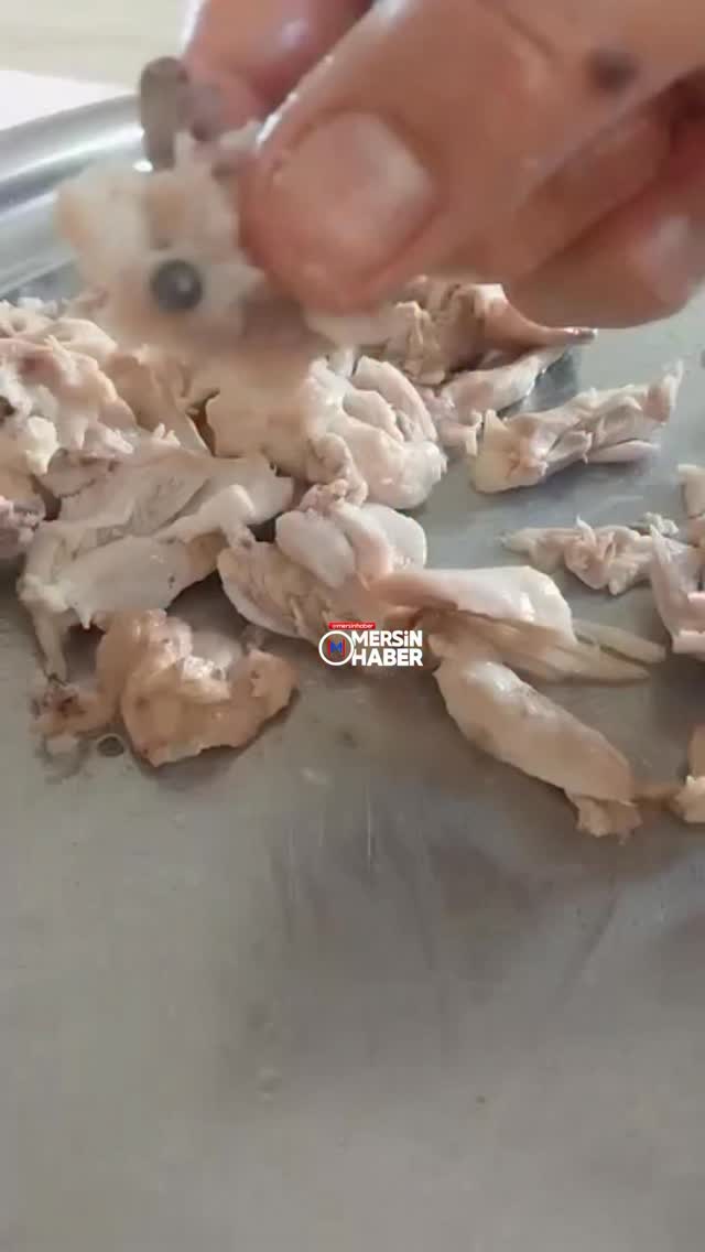 Mersin'de bir vatandaşın aldığı tavuktan iddiaya göre, "tüfek saçması" çıktı