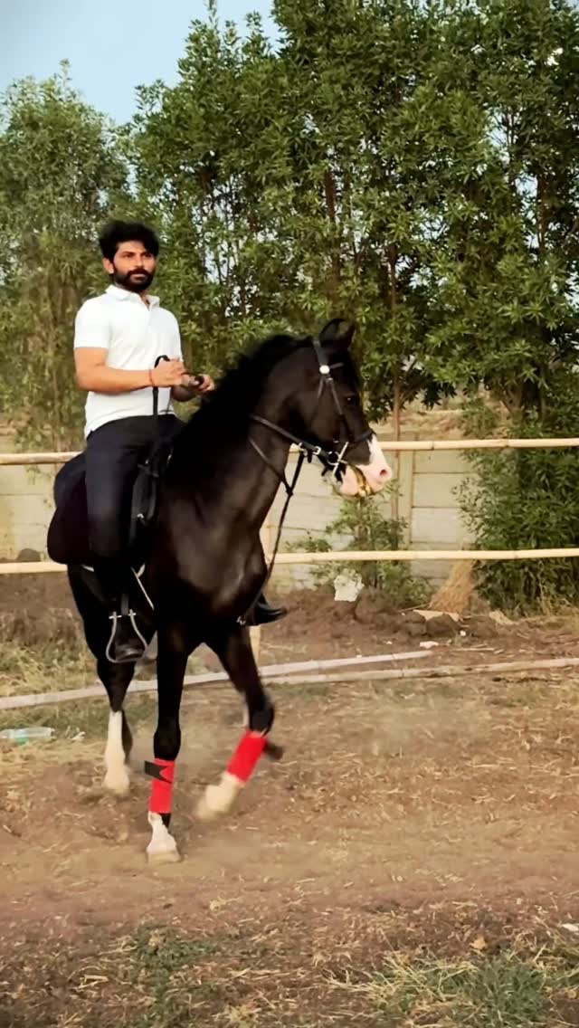 कल्याण 🖤💥

Everything that kills me; Makes me feel alive 🔥
@sai_horse_riding_academy @digraj_singh_rajput 
#horseriding #instafeed #digrajsir