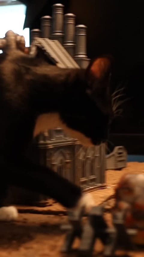 More of the beast
#warhammer40k #cat #warhammer #hobby #warhammerterrain