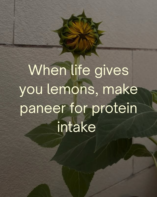 Paneer paglus, assemble 🎀(Pinkvillalifestyle, wellness, fit, relatable) by @pinkvillalifestyle